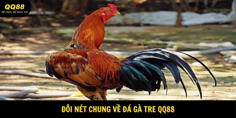 Đá Gà Tre QQ88 - Theo Dõi Màn Đấu Kịch Tính 2025 1 doi-net-chung-ve-da-ga-tre-qq88